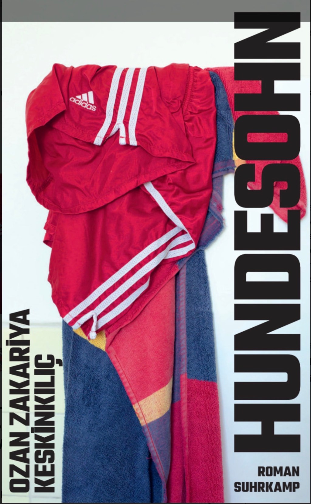 Buchrezension „Hundesohn“